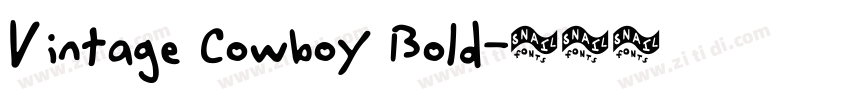 Vintage Cowboy Bold字体转换